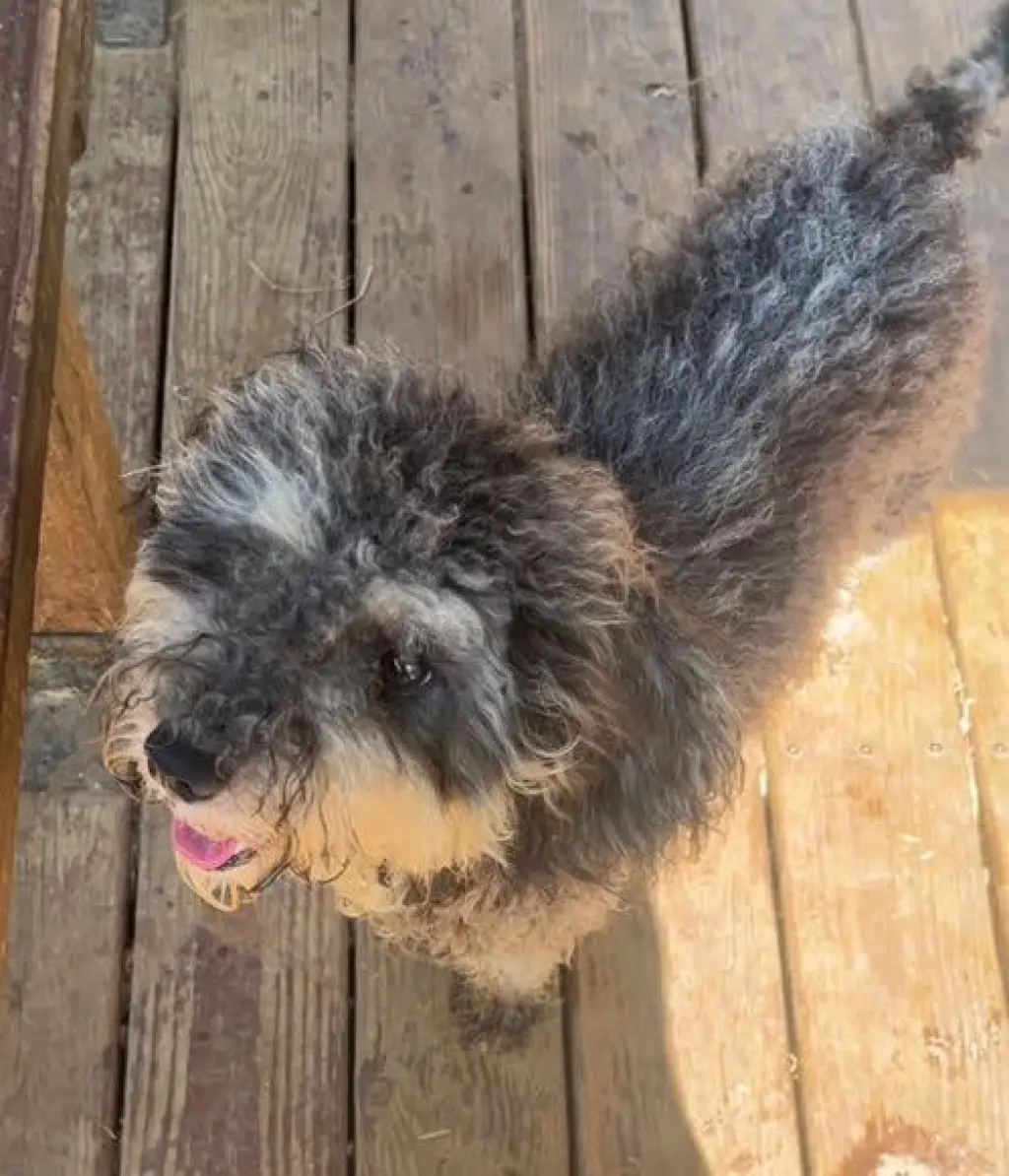 261279  Maddie