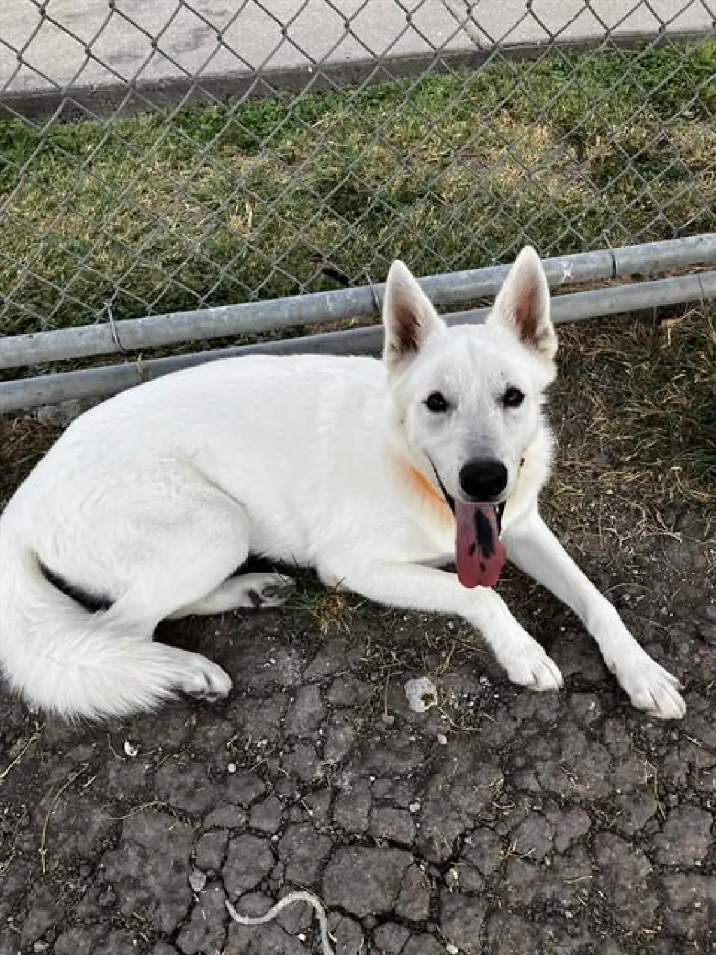 BAYMAX