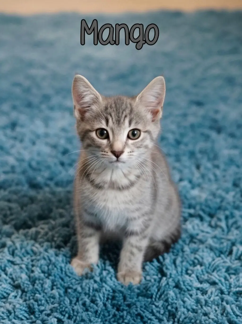 Mango