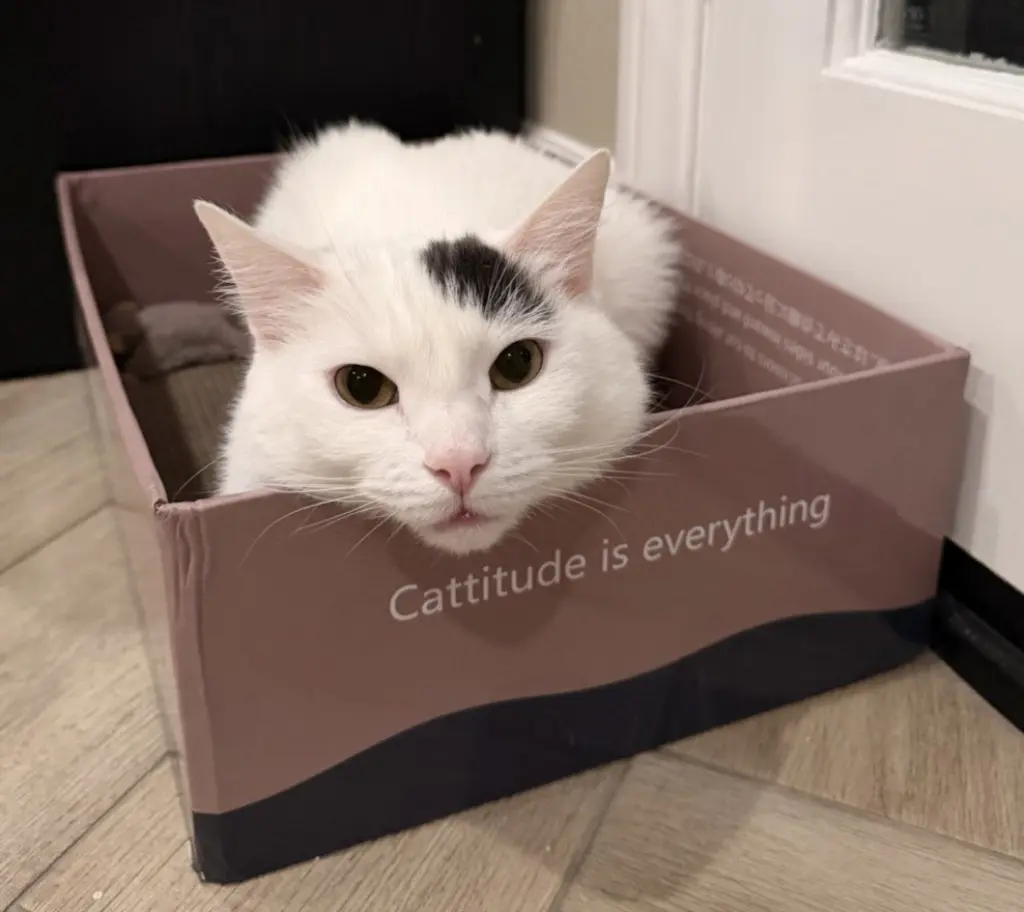 MARU