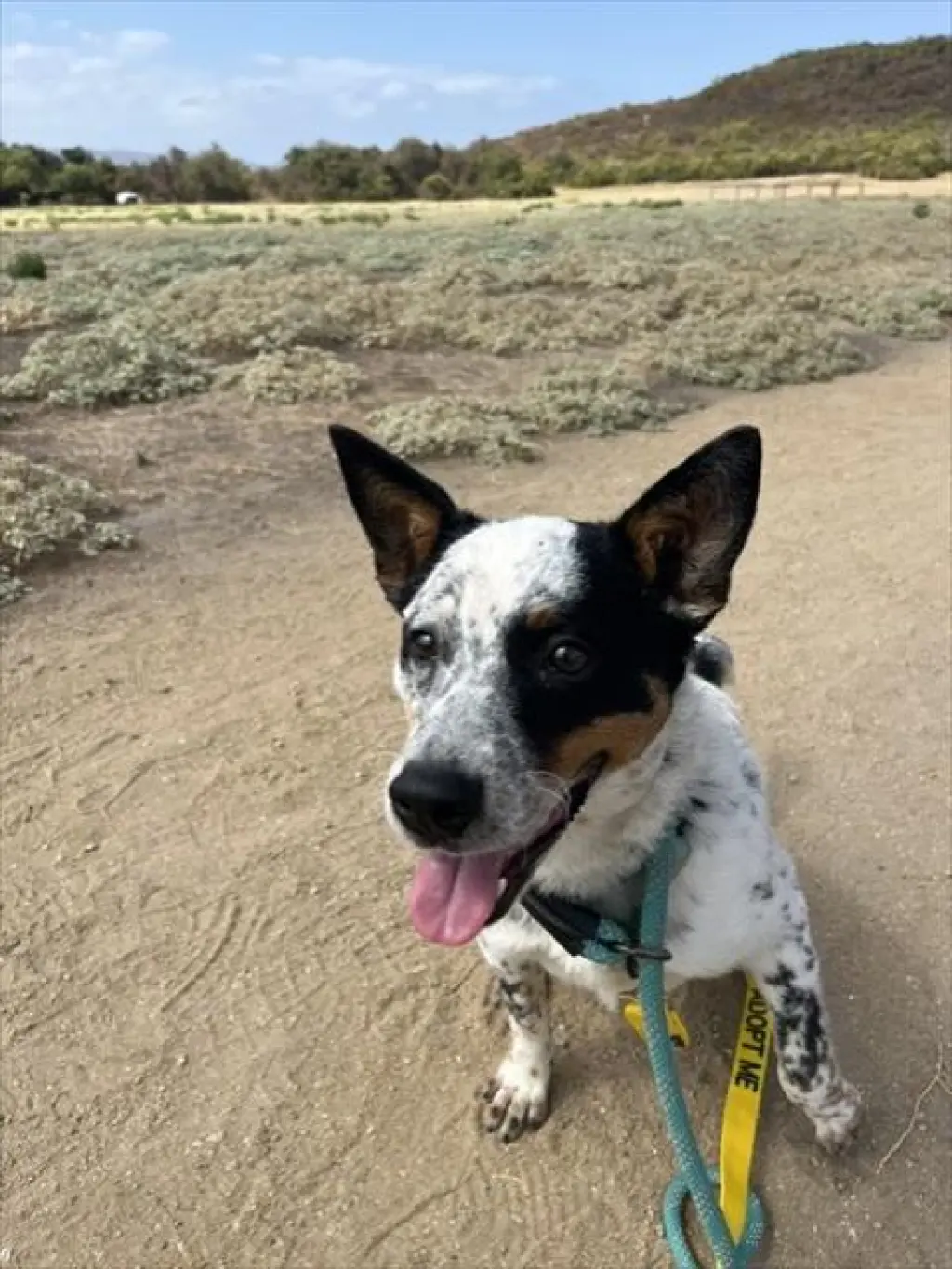 OREO