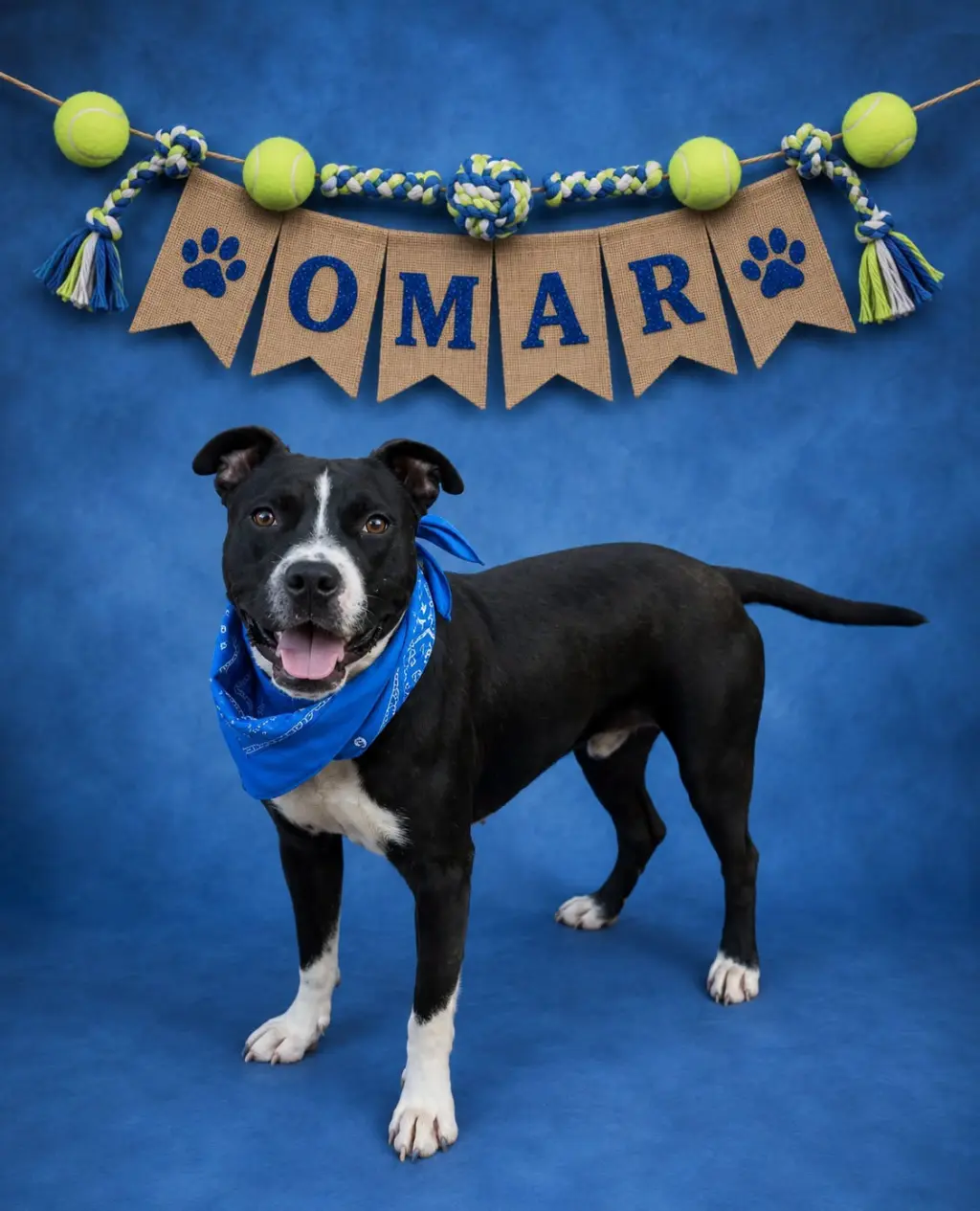 Omar