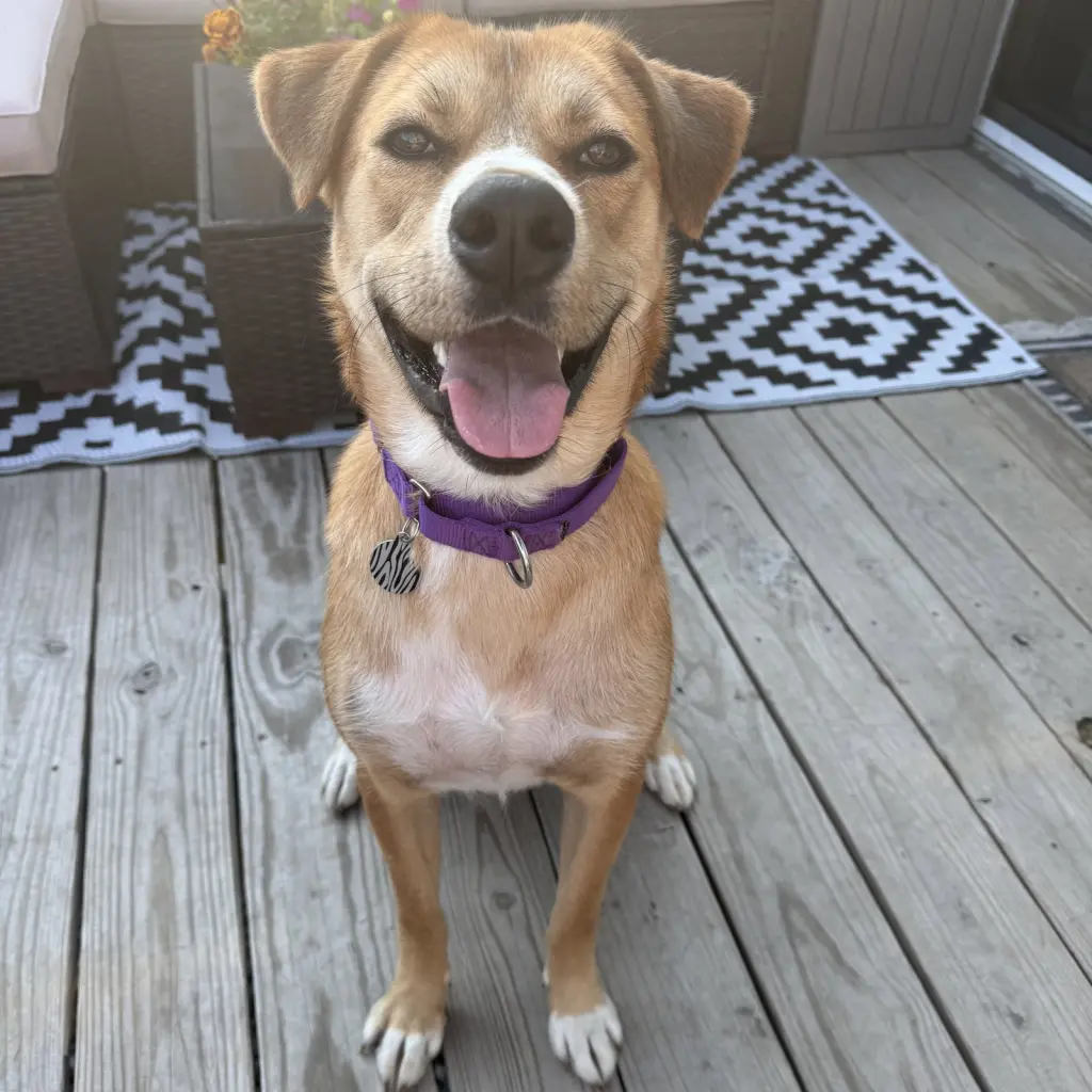 Ernie
