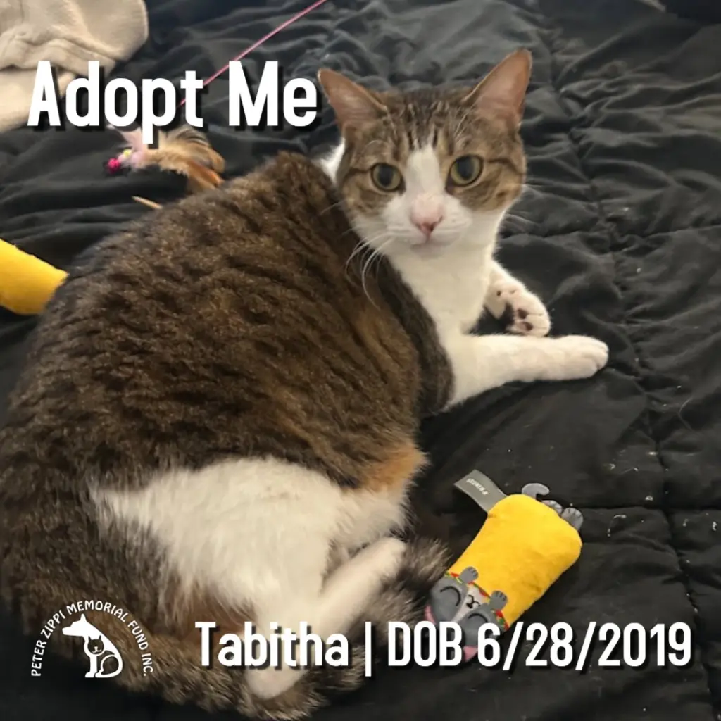 Tabitha