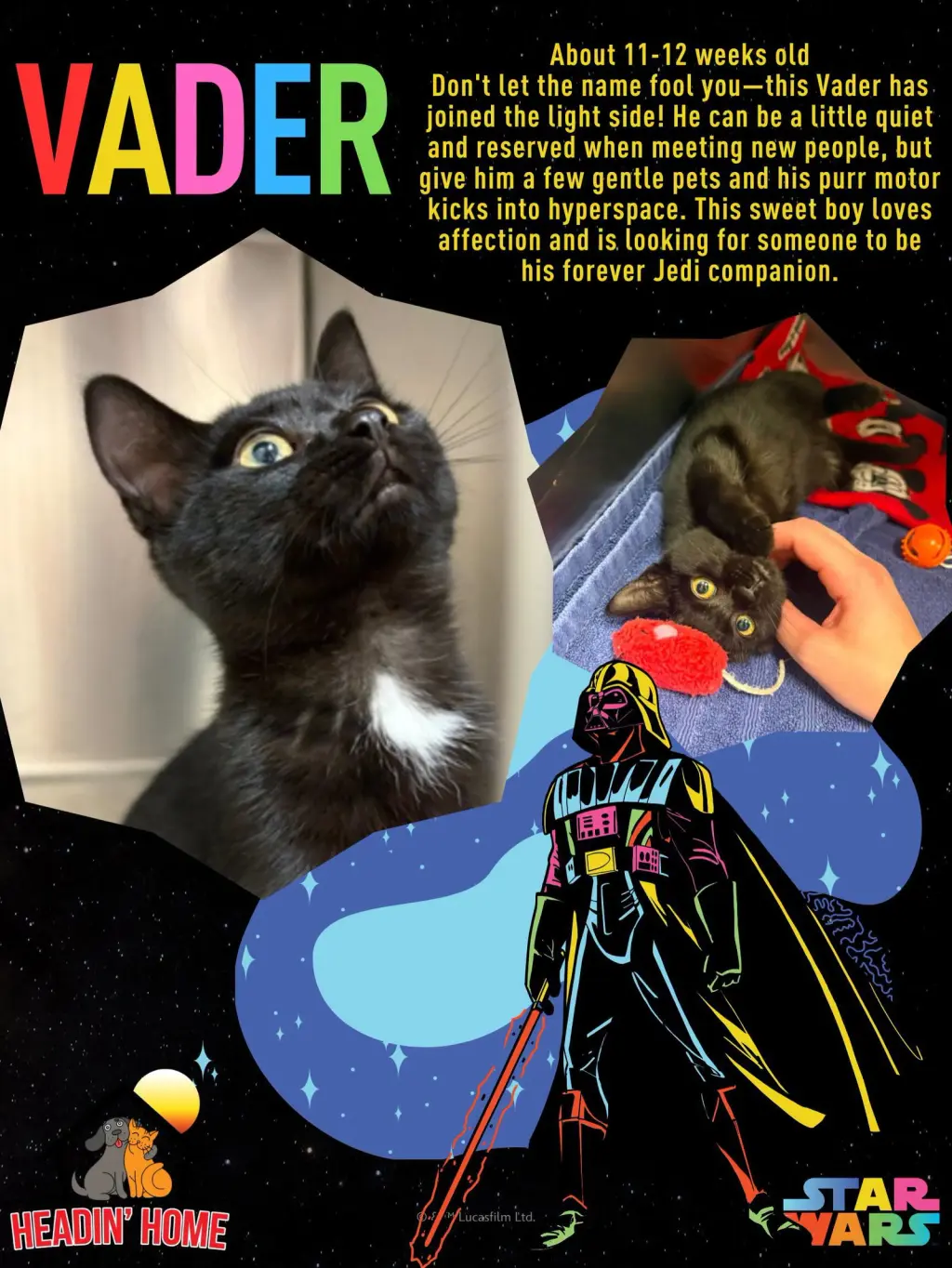 Vader