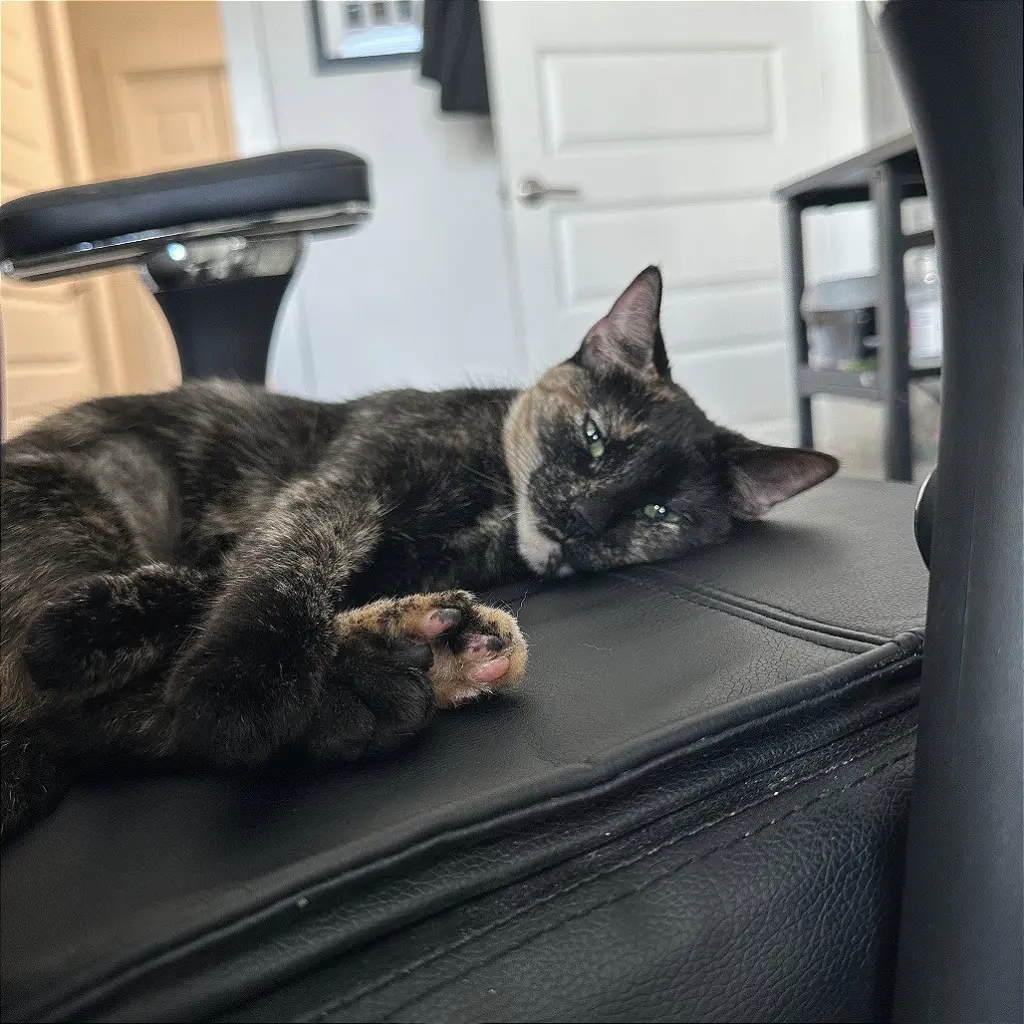 Suki Sue