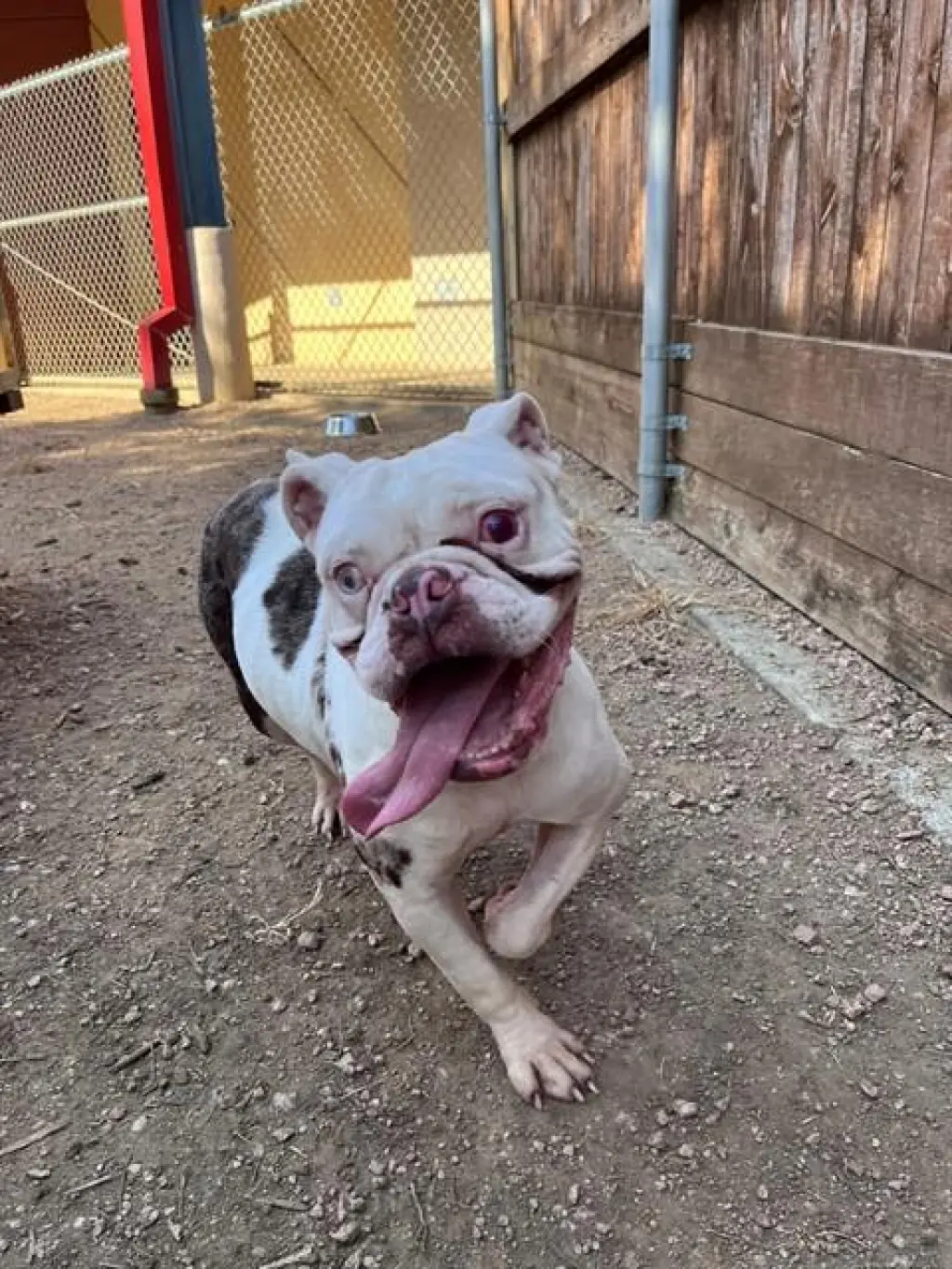 BETTY