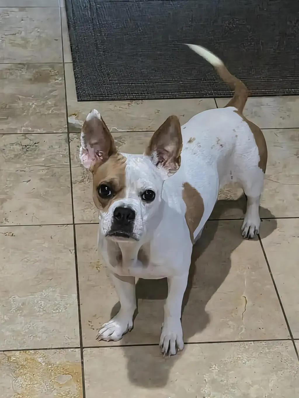 Coco