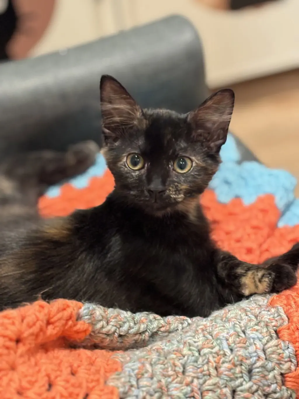 Serafina