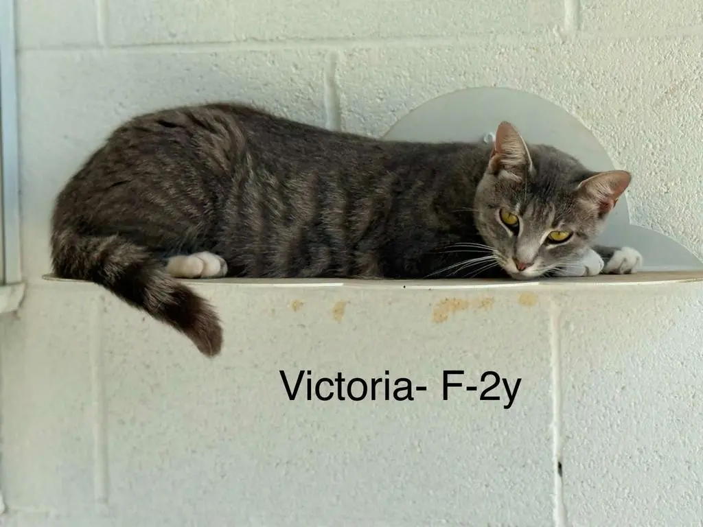 victoria