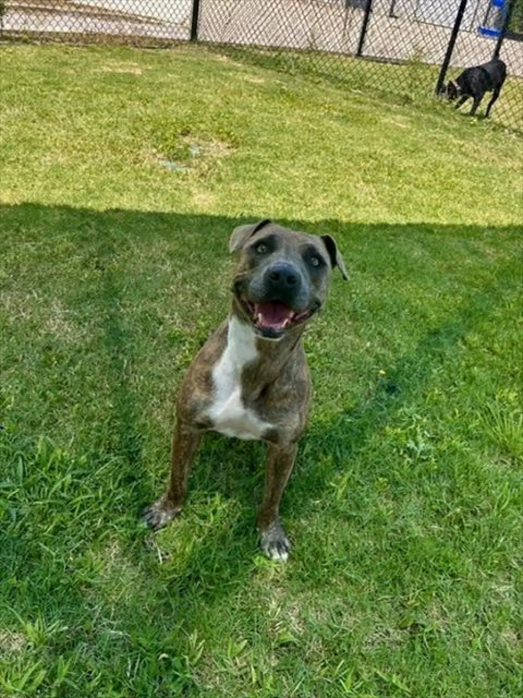 LUCY