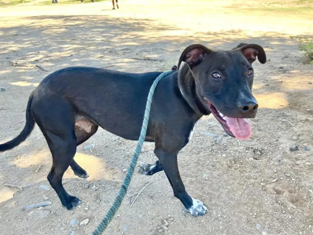 CHACO