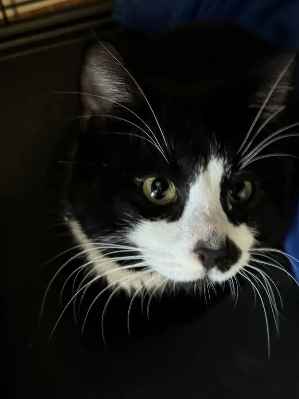 Tux