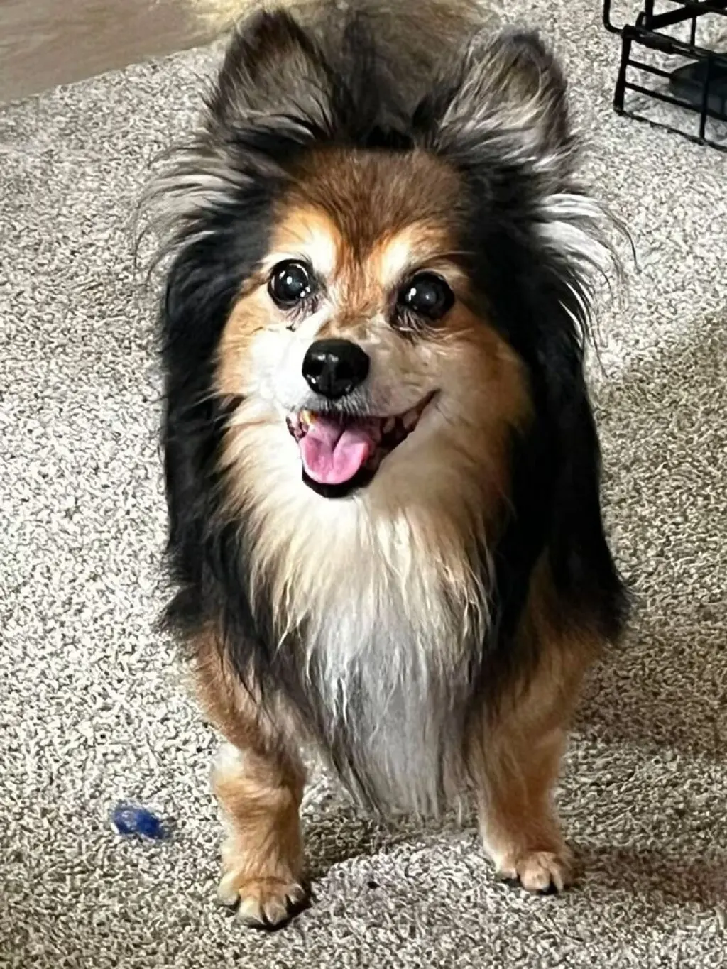 Mocha
