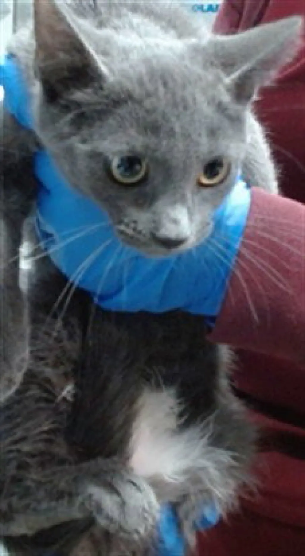TONY
