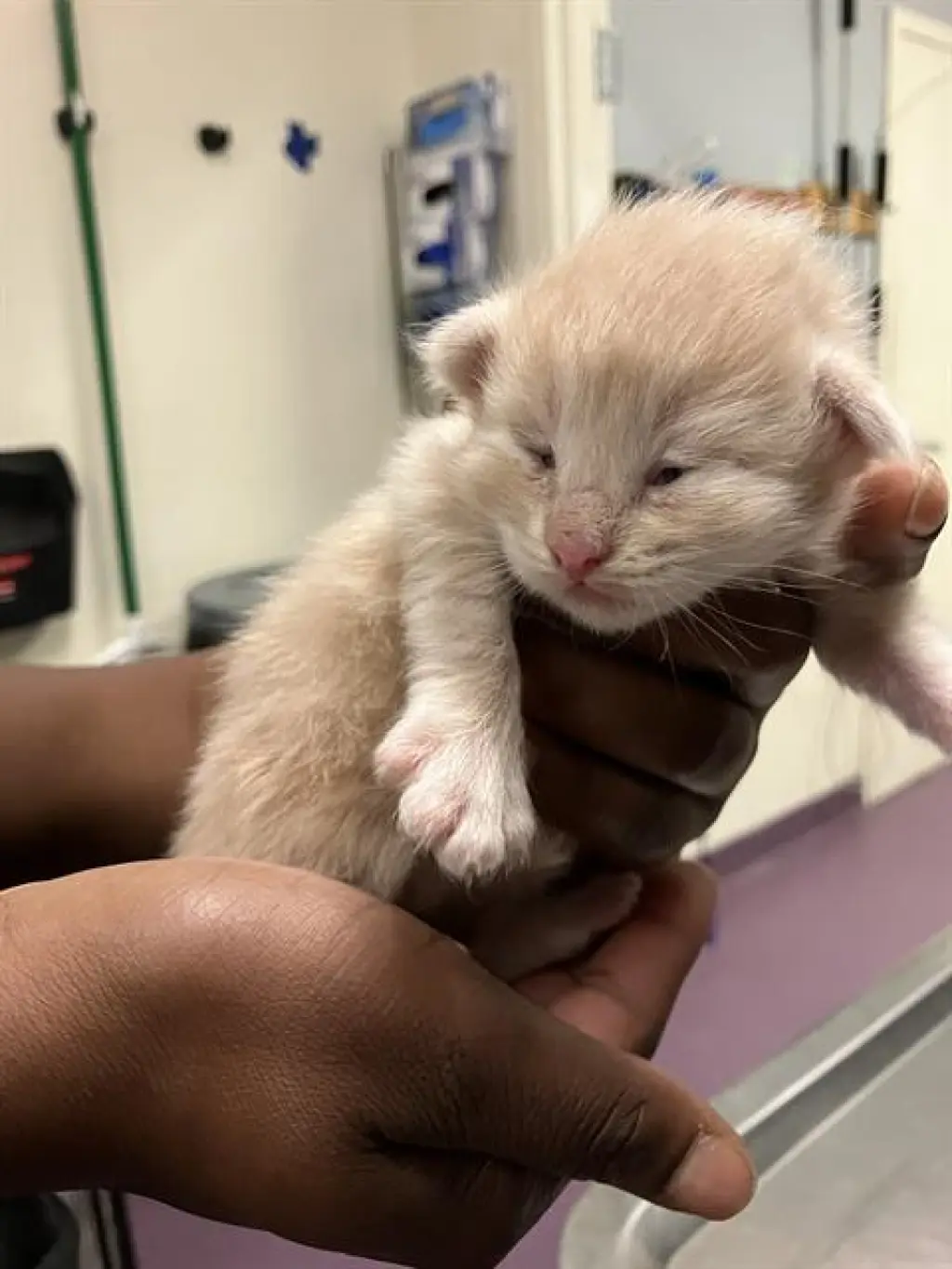 *BOOP