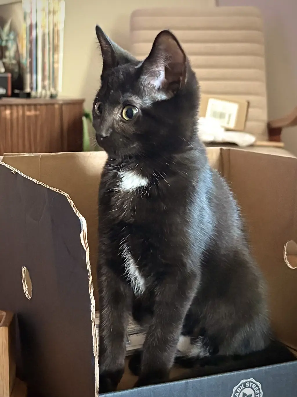 Ramona