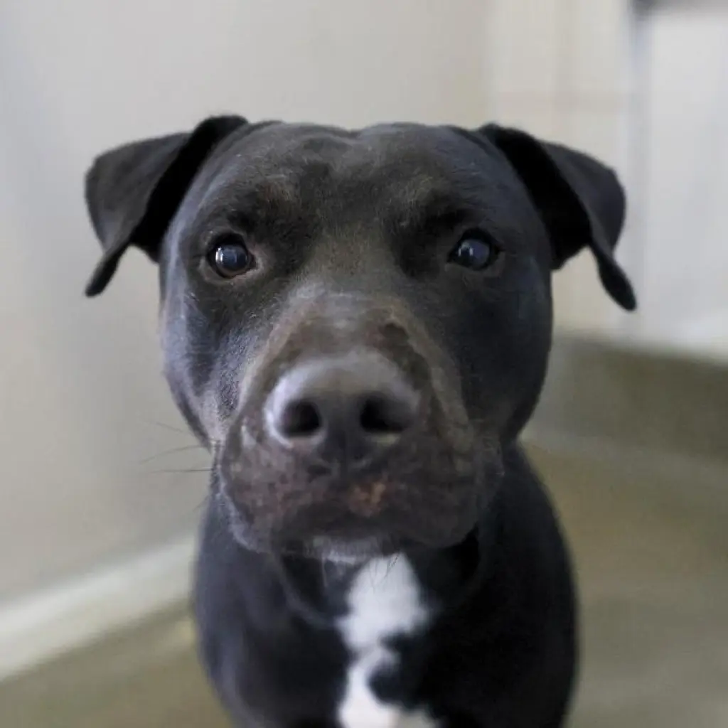 BEN