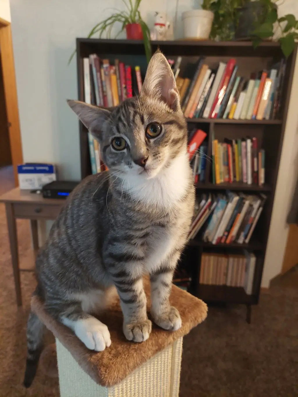 Fletcher