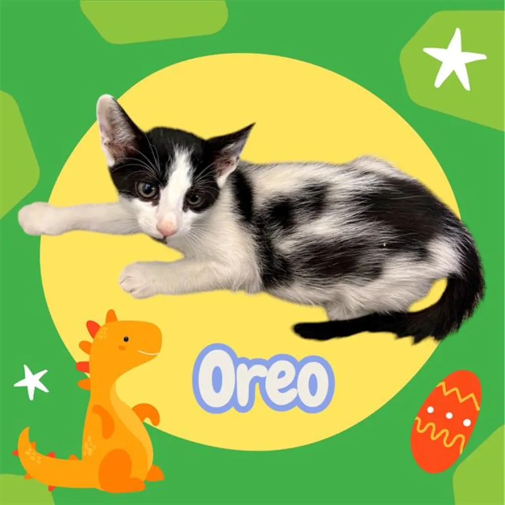 *OREO