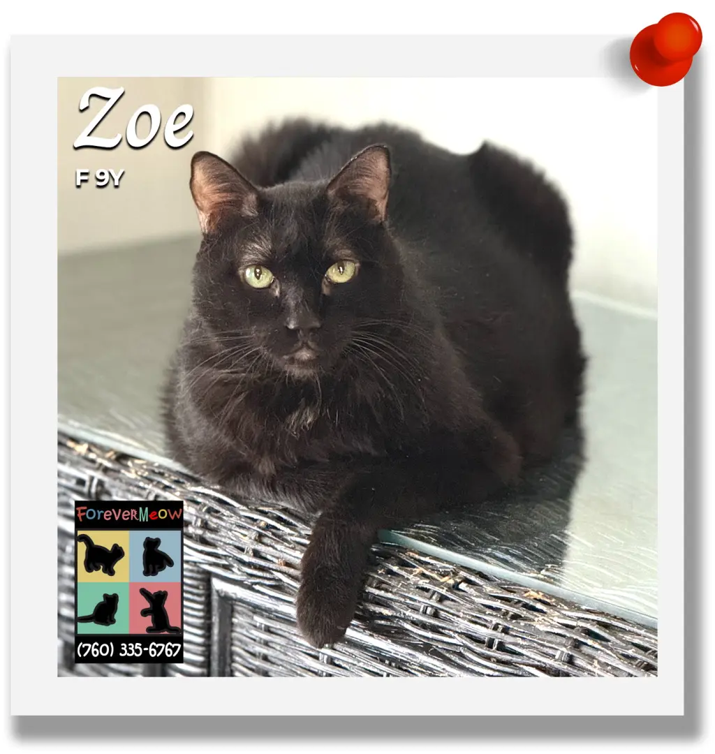 Zoe