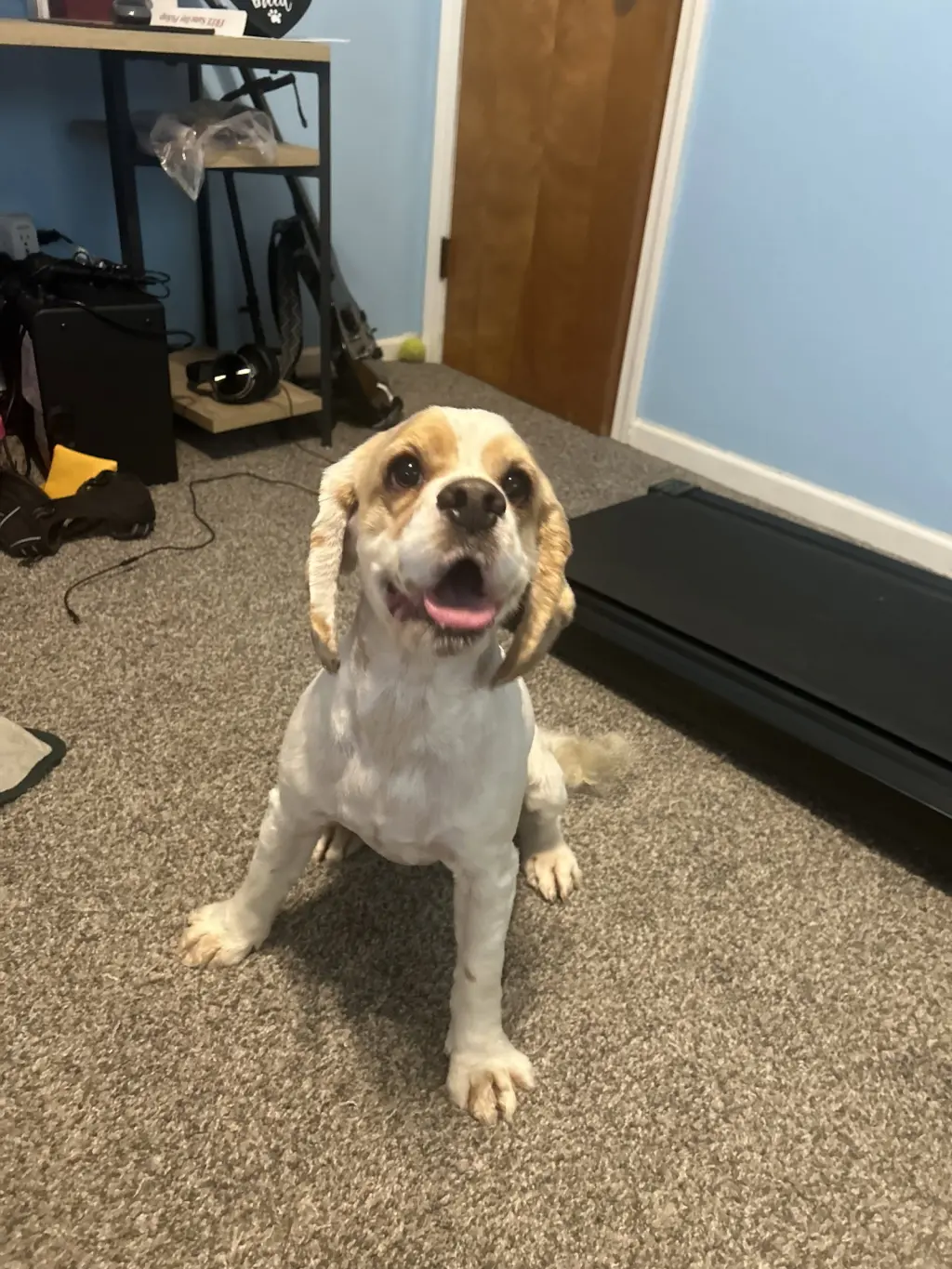 Oscar