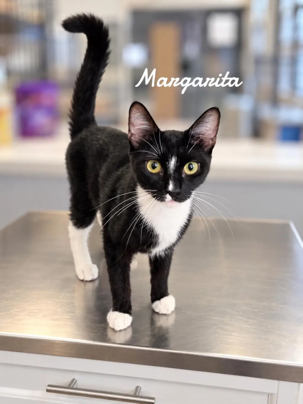 Margarita