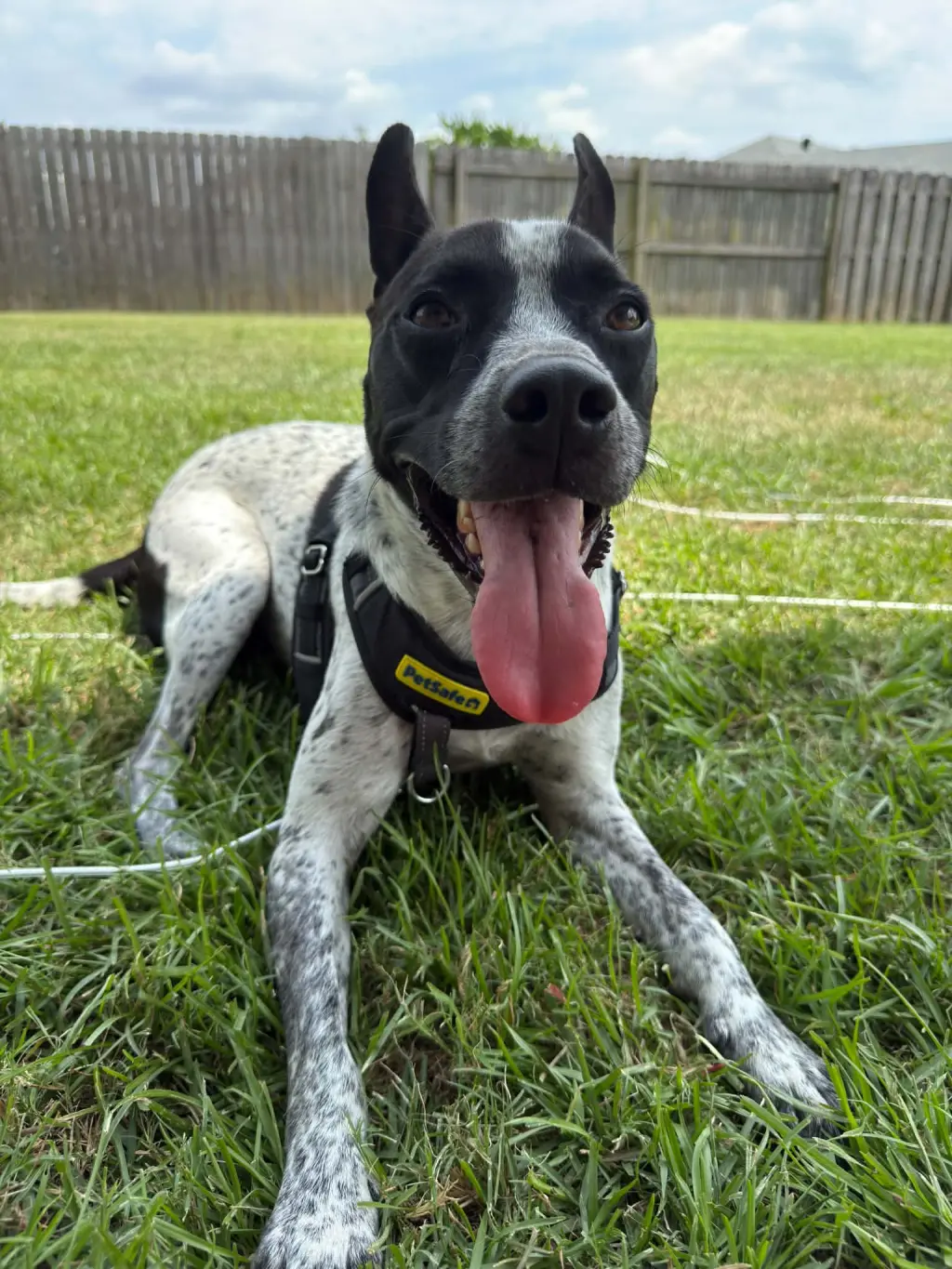 Jax-friendly boy