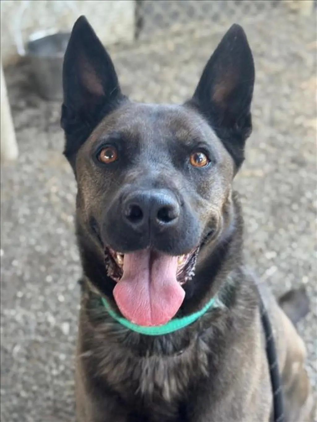 NAHLA