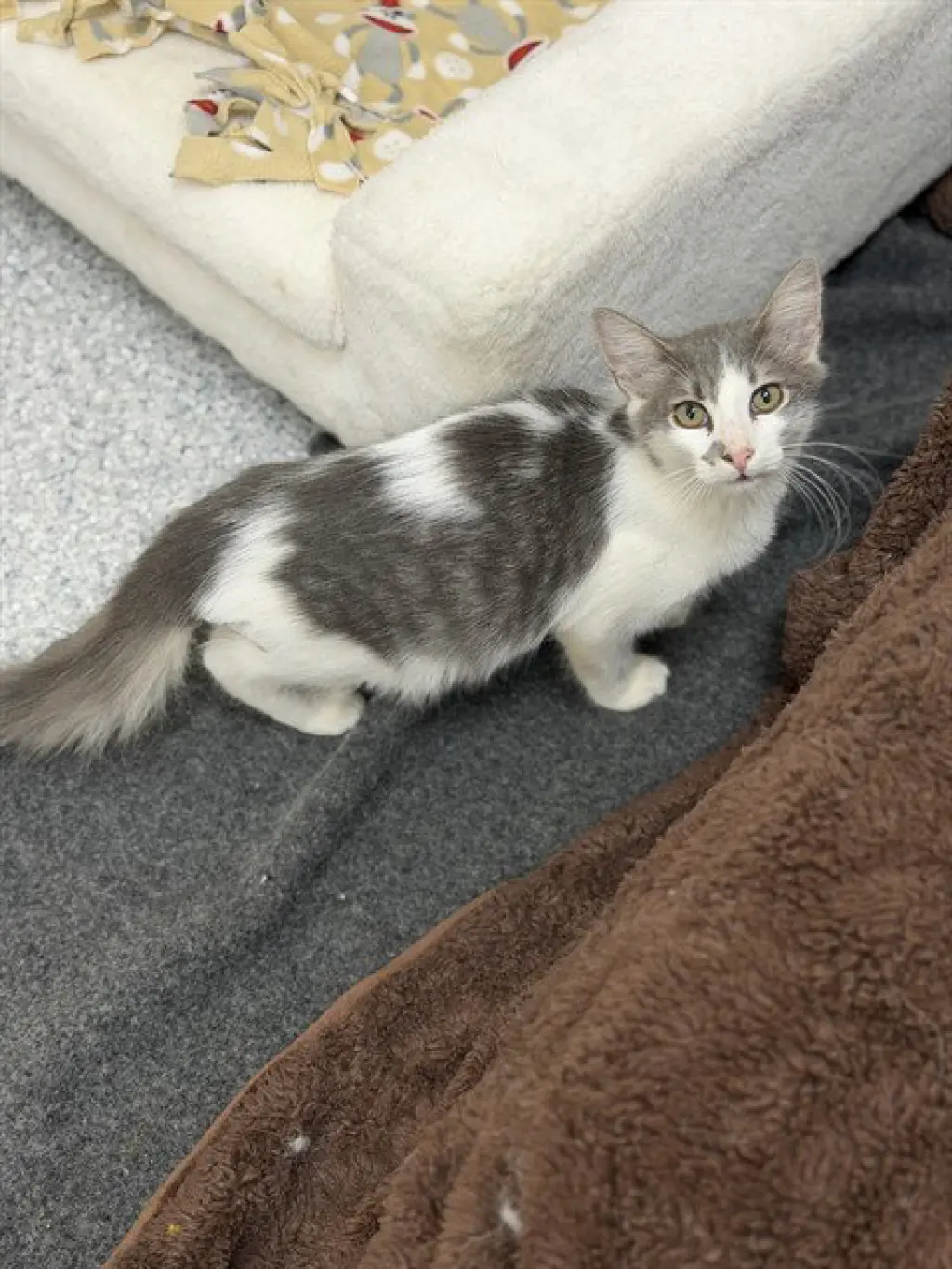 ZUKO