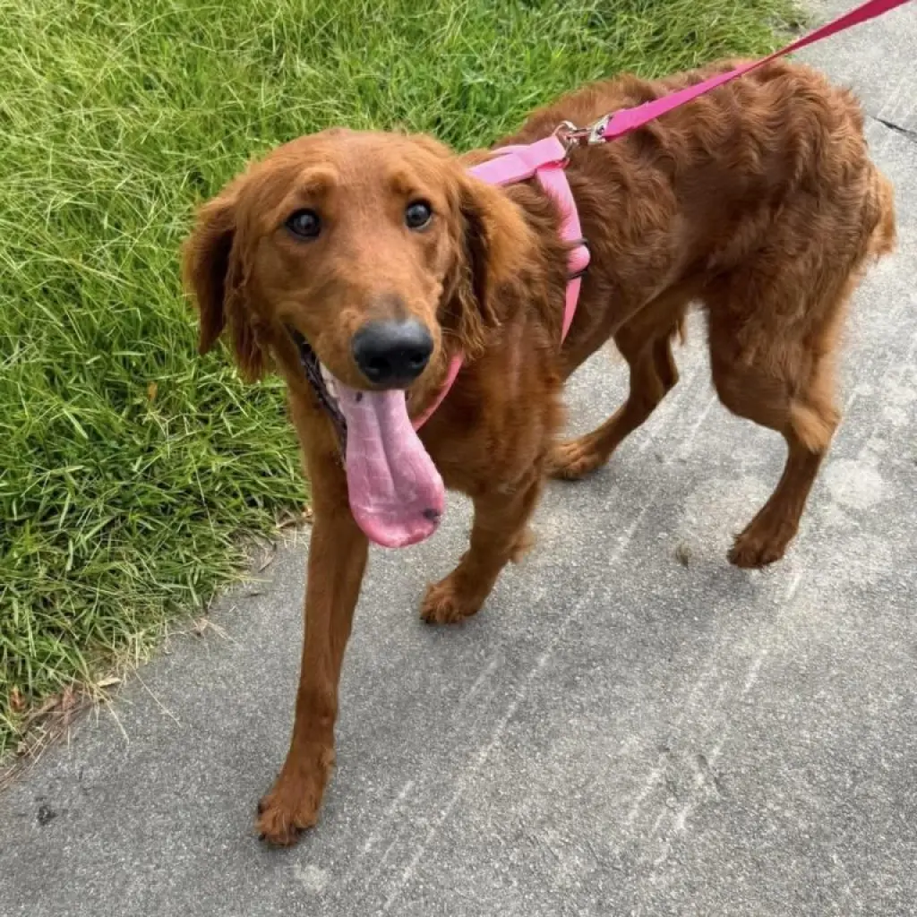 Winnie Mae