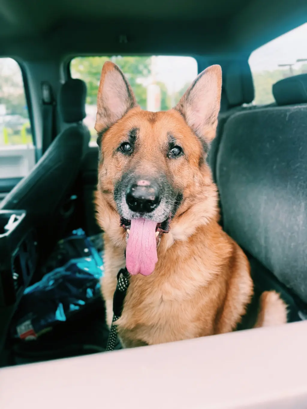 Ruger