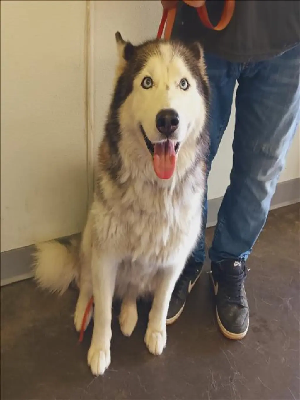 NALA