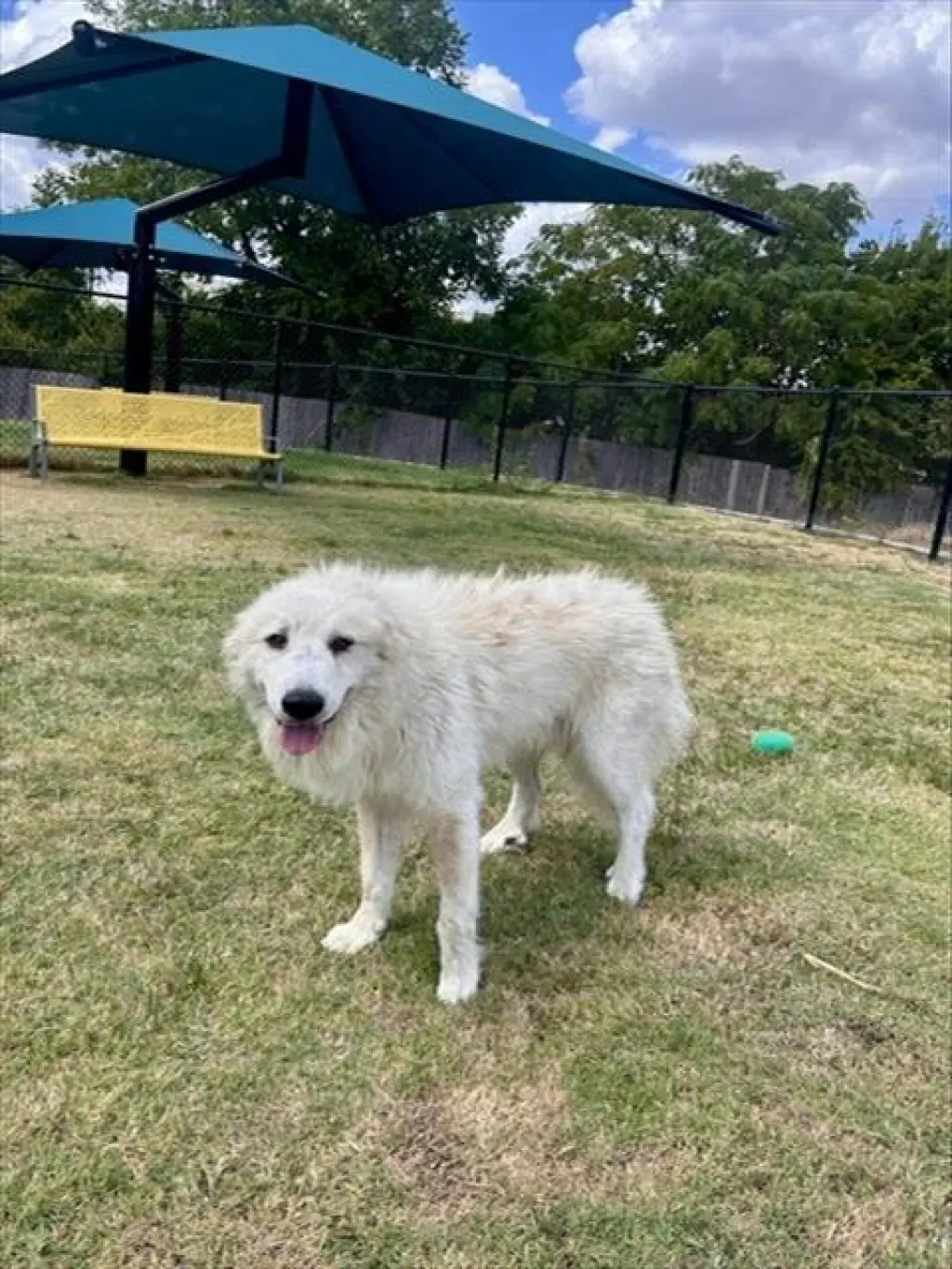POLAR