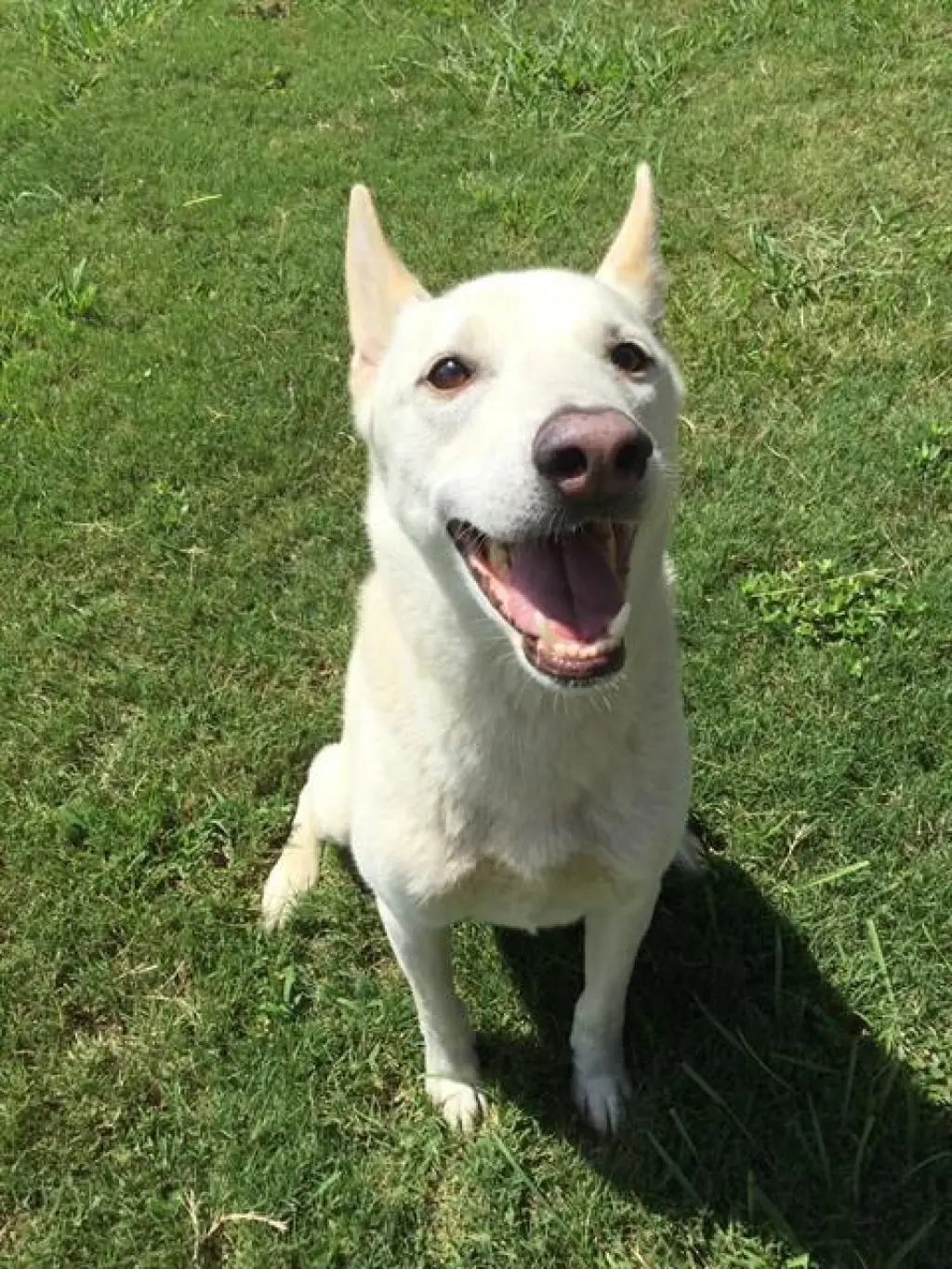 DUKE