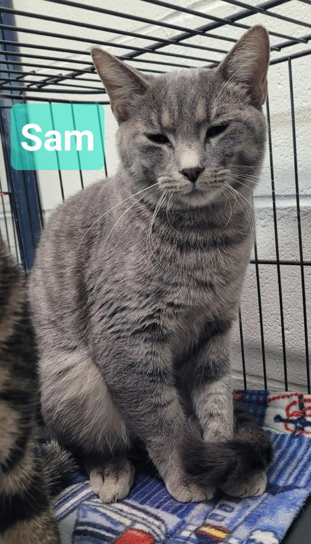 Sam