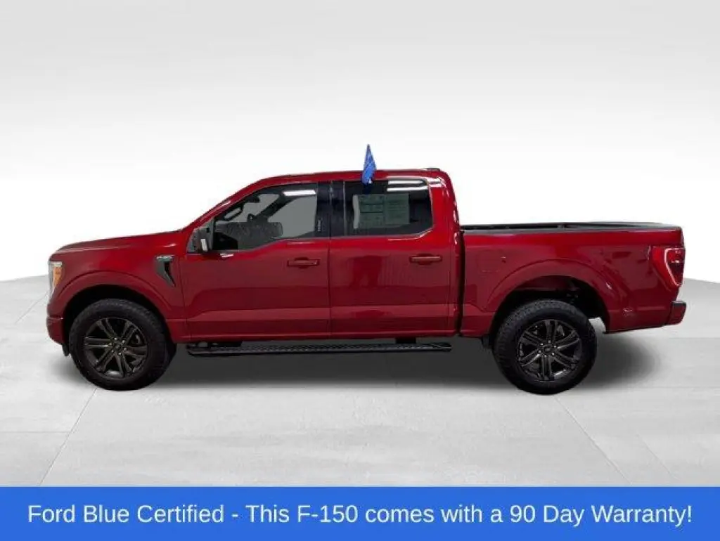 Ford F-150 2022 4x4 XLT 4dr SuperCrew 6.5 ft. SB