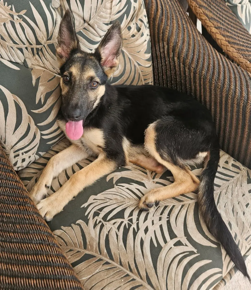 Luna