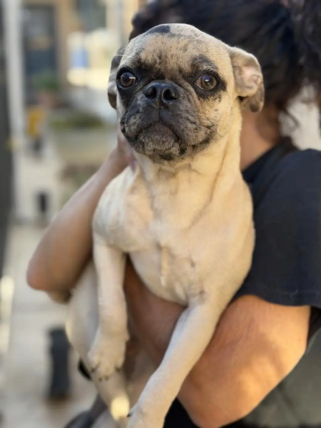 CAROLINE