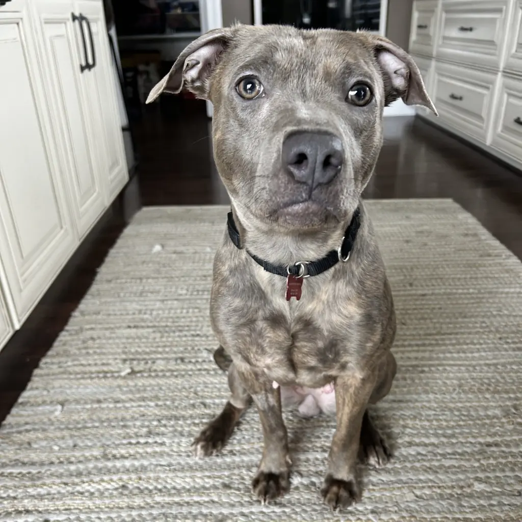 Mahina