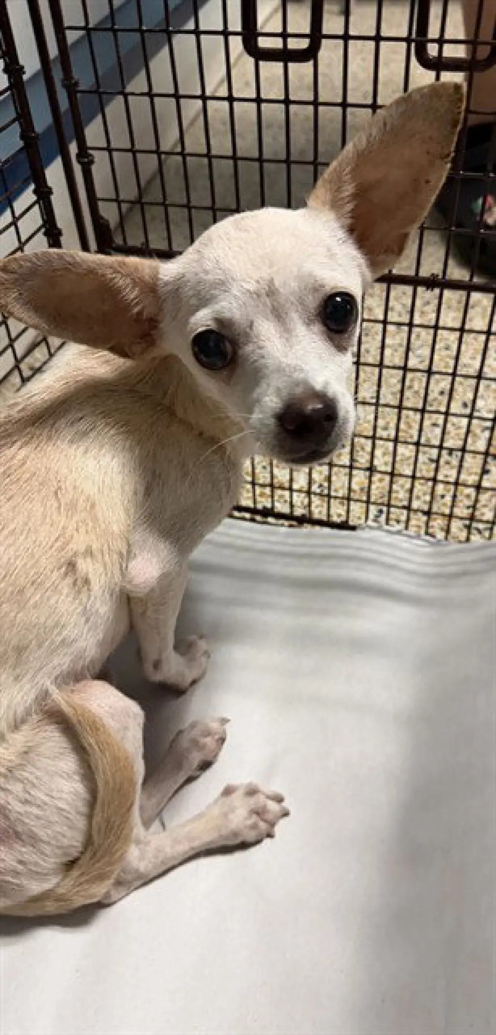 TAKKI