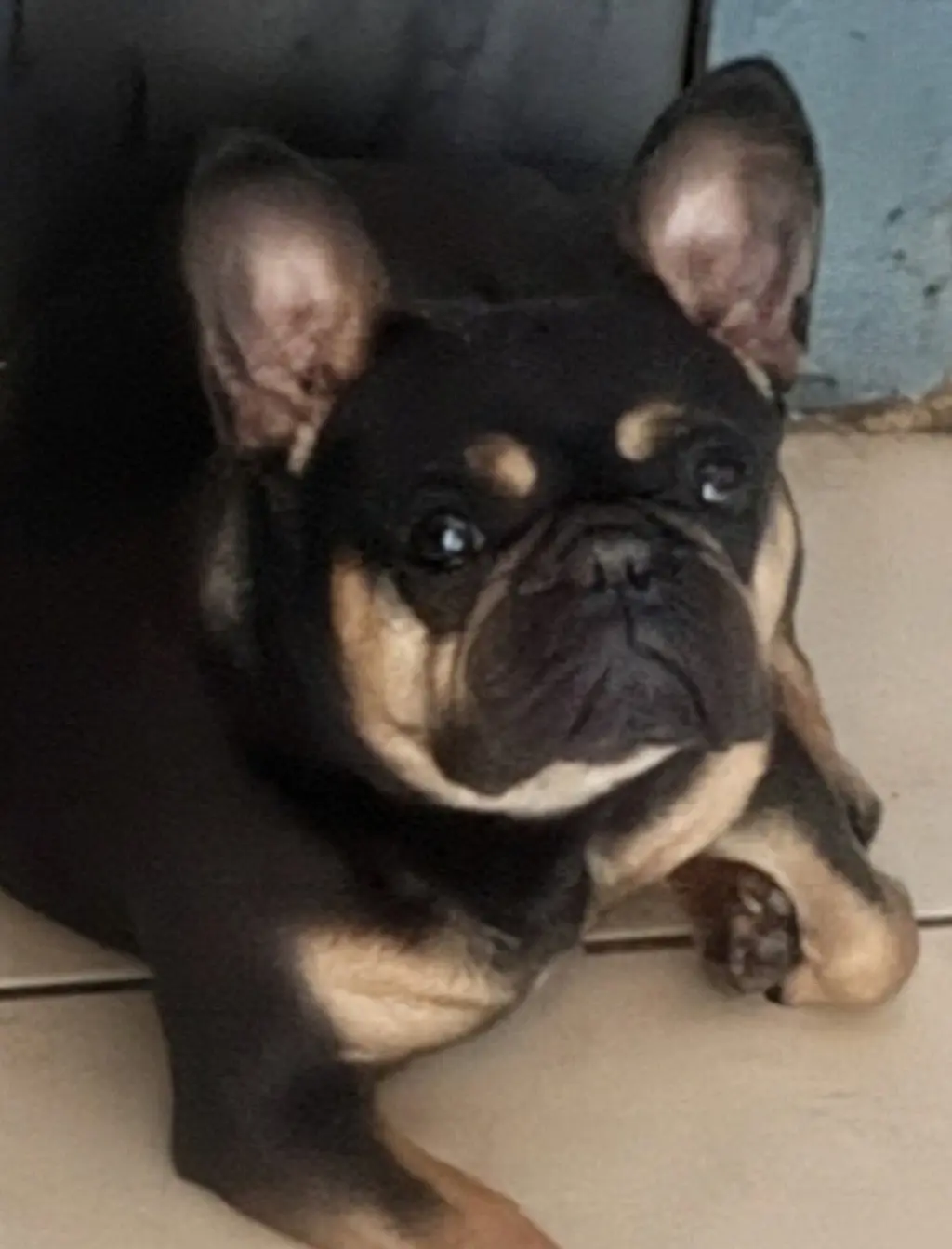 Sara