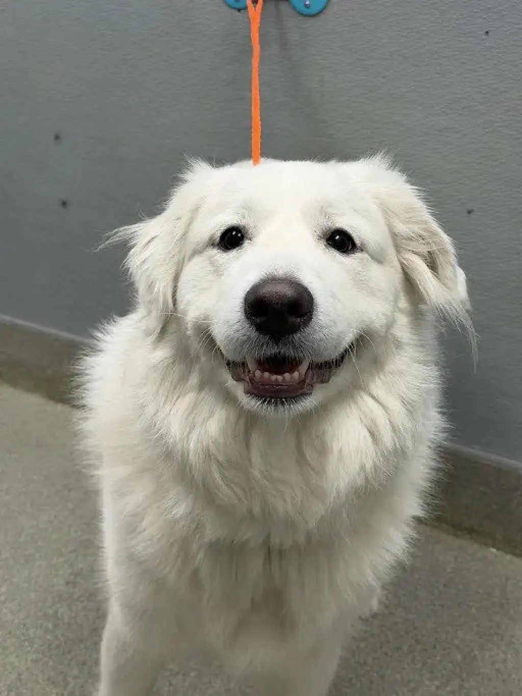 *SMILEY