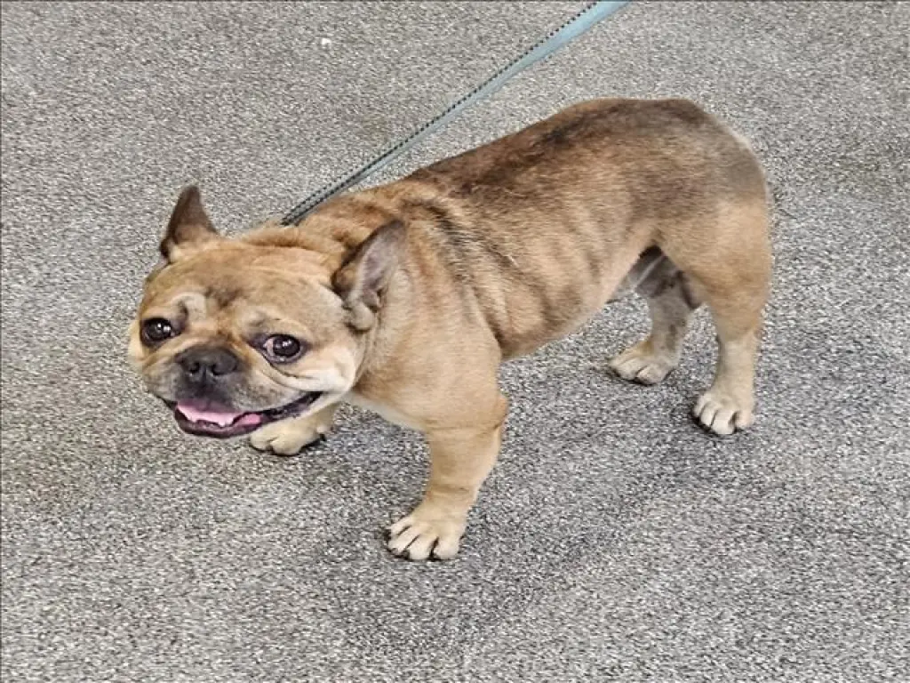 PEQUE