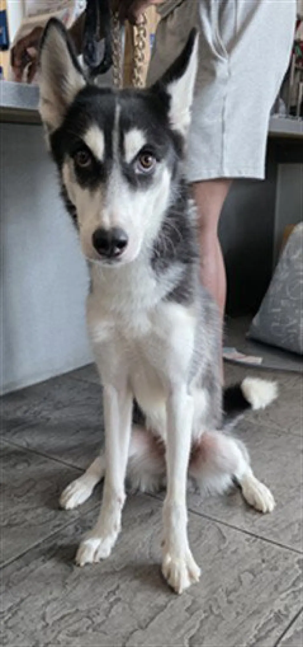 BRUNO