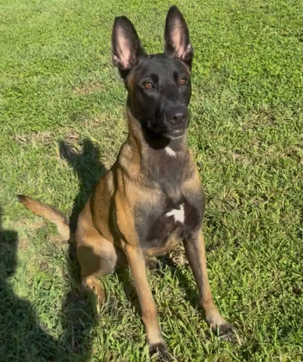 Ragnar - FL - COURTESY POST