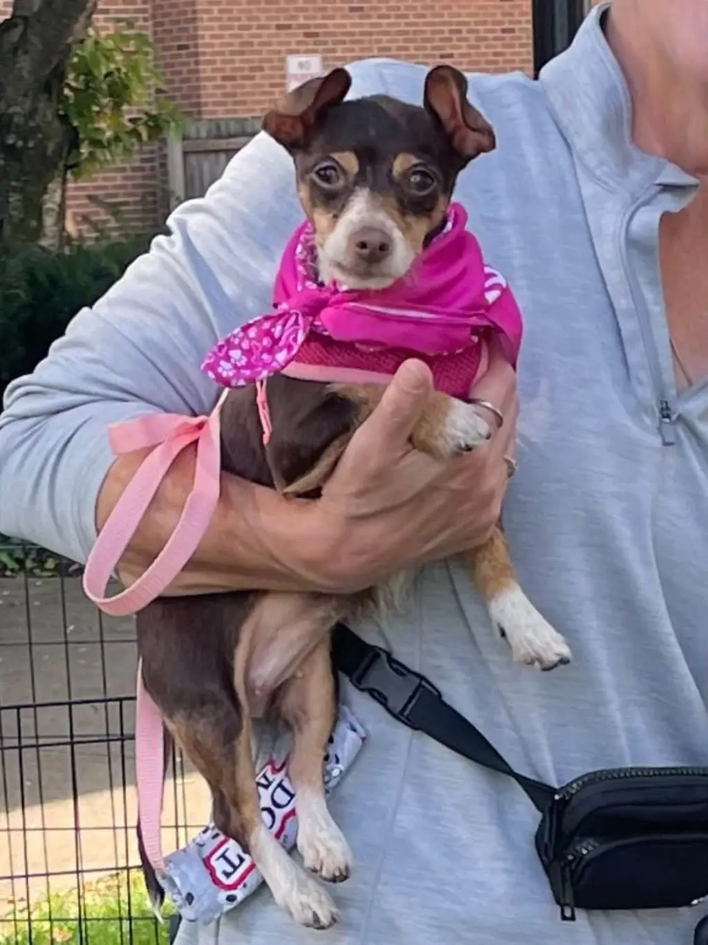 Annie