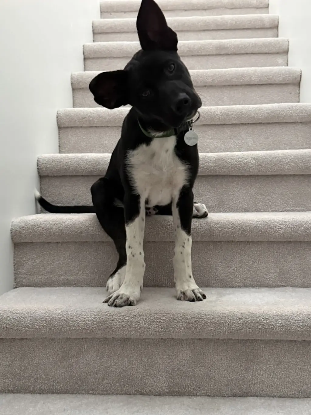 Cassian a/k/a Onyx