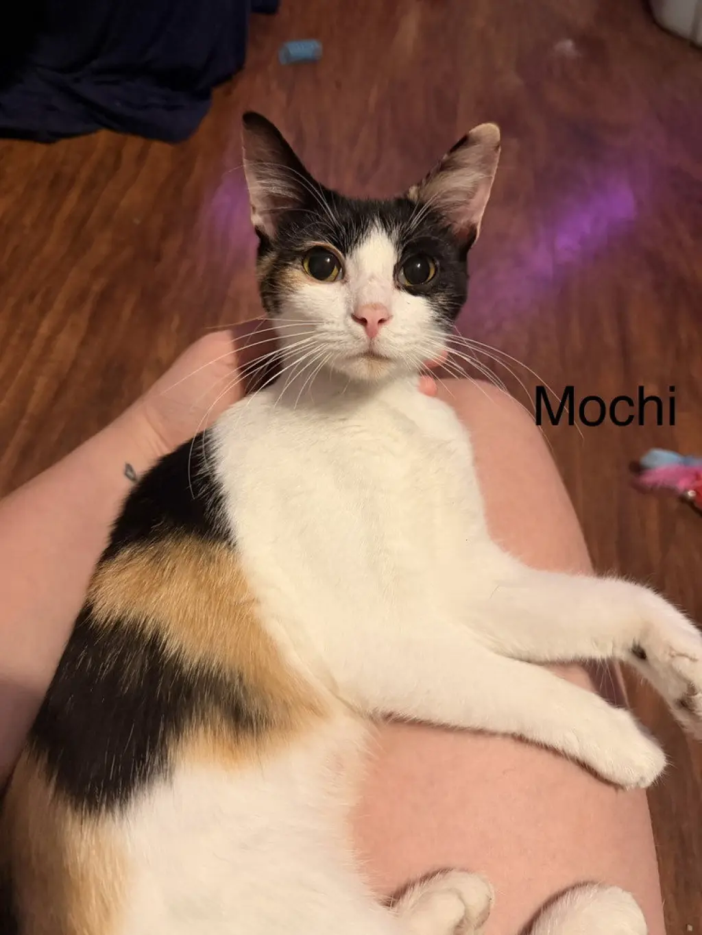 Mochie