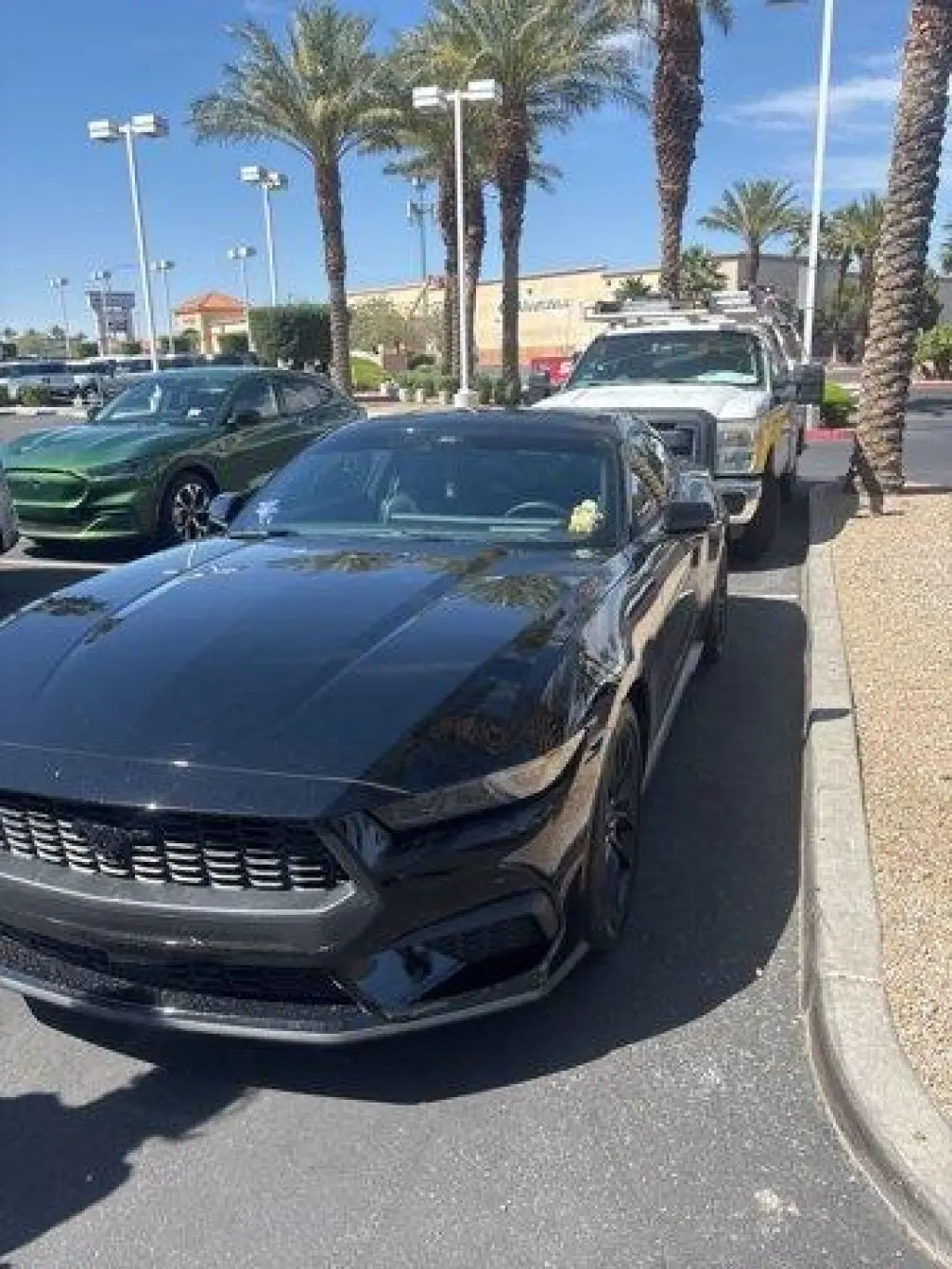 Ford Mustang 2025 EcoBoost 2dr Fastback